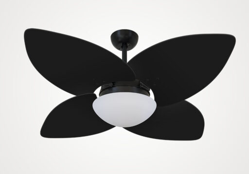 import placeholder for 5149