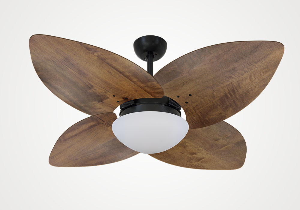 import placeholder for 12435